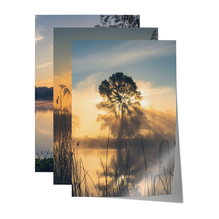 Zestaw Plakatów Dolina Baryczy