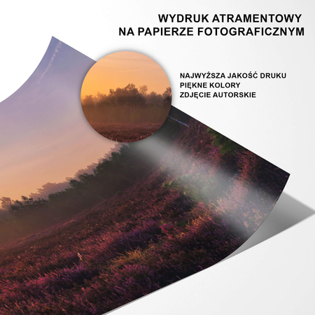 Plakat Wrzosowe Pole