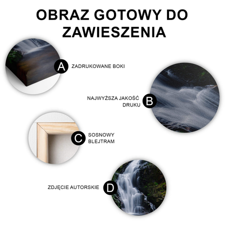 Obraz Wodospad Kamieńczyka no.2
