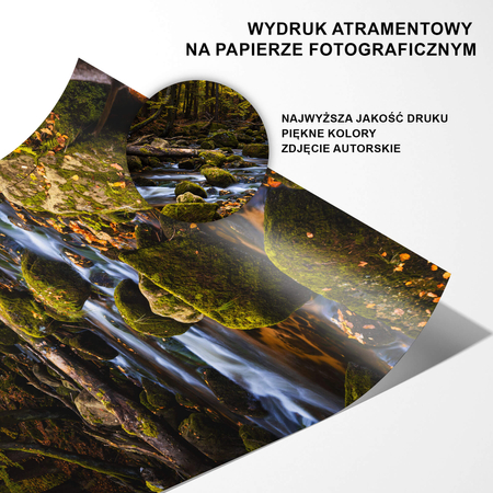 Plakat Leśny Potok No1