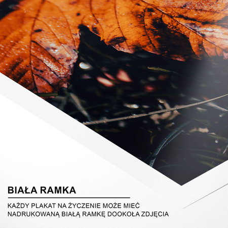 Plakat Jesienny Liść No 2
