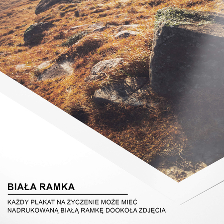 Kolekcja Plakatów Adventures