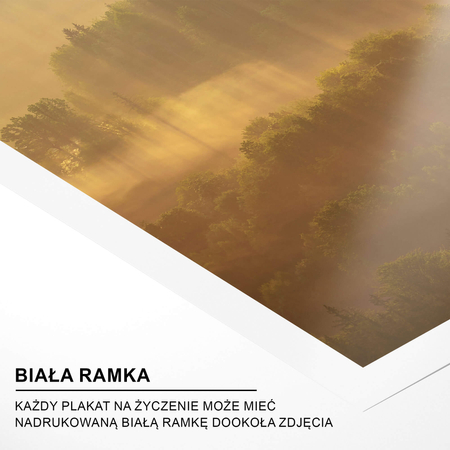 Plakat Promienie Słoneczne