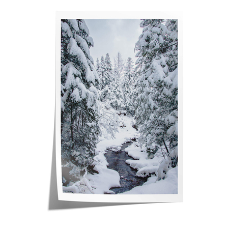 Plakat Prawdziwa Zima