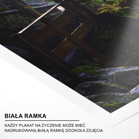 Plakat Leśny Krajobraz