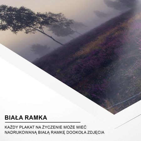 Zestaw Plakatów Poranek Na Wrzosowisku