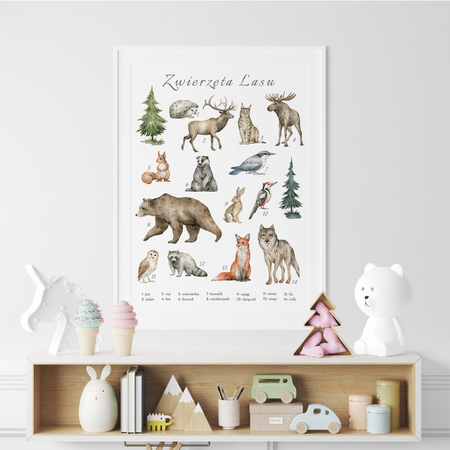 Plakat Zwierzęta Lasu
