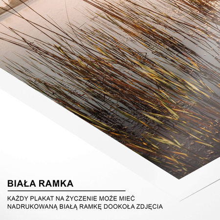Zestaw Plakatów Cisza Poranka