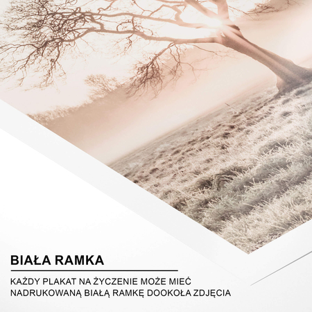 Kolekcja Plakatów Harmonia