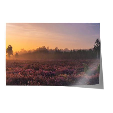 Plakat Wrzosowe Pole