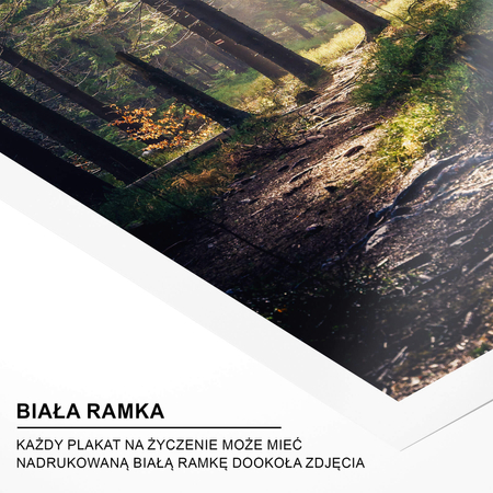 Plakat Magiczny Las