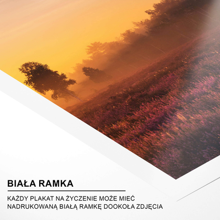 Plakat Wrzosowe Pole