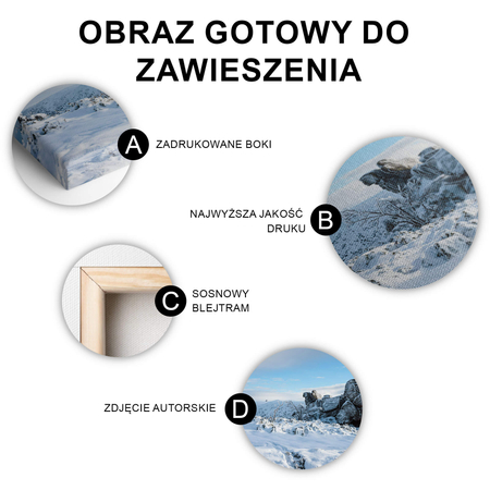 Obraz Zima W Karkonoszach