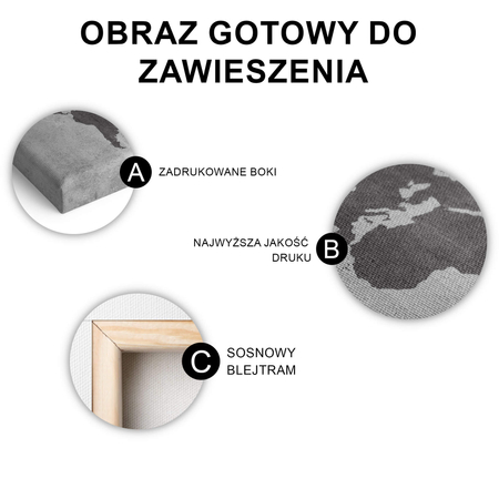 Obraz Mapa Świata