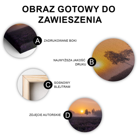 Obraz Poranek Na Wrzosowisku