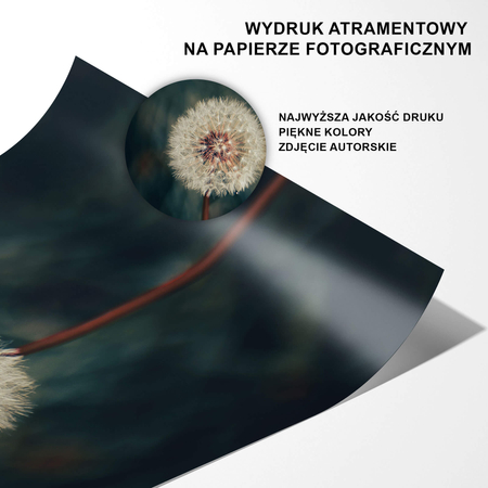 Plakat Dmuchawiec