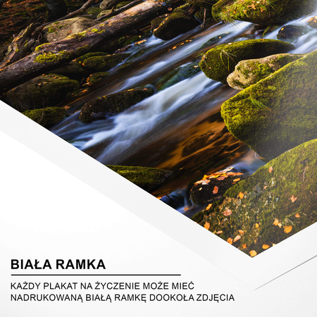 Plakat Leśny Potok No1