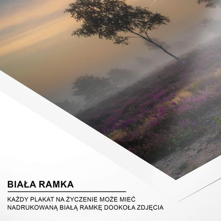 Plakat Jesienna Aura