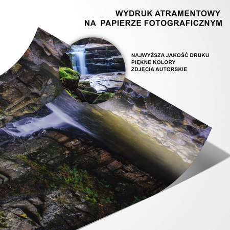 Zestaw Plakatów W Środku Lasu