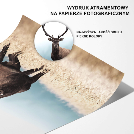 Plakat Jeleń