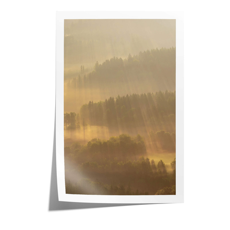 Plakat Promienie Słoneczne