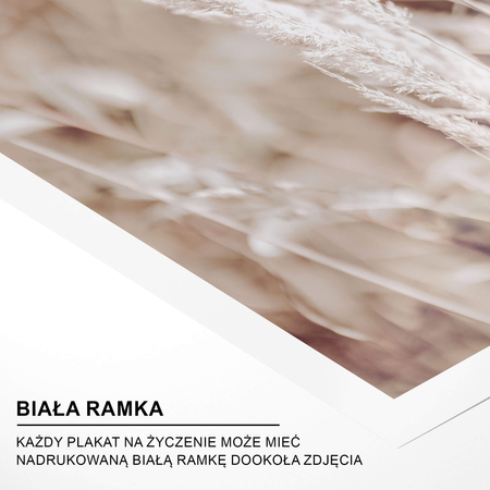Plakat Trawa Pampasowa