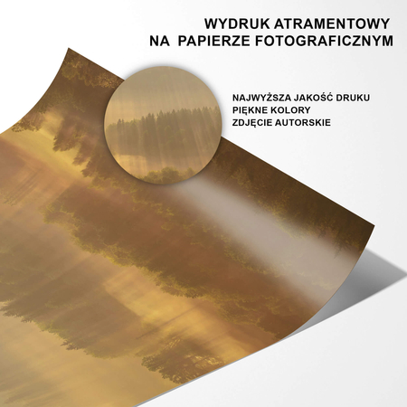 Plakat Promienie Słoneczne