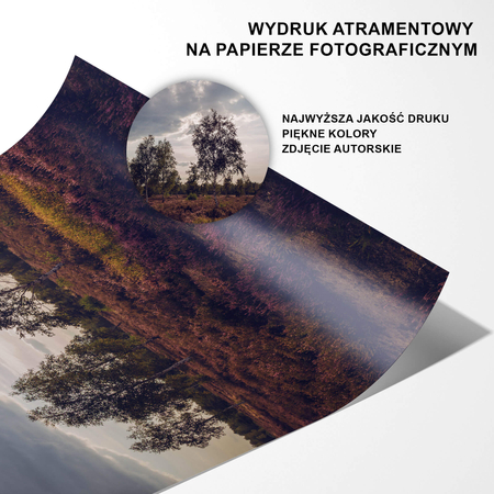 Plakat Drzewa Na Wrzosowisku