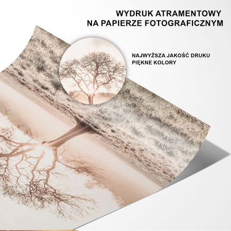 Plakat Drzewo