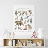 Plakat Zwierzęta Lasu