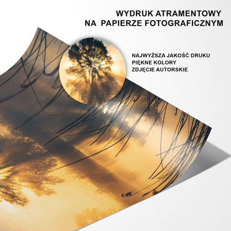 Zestaw Plakatów Dolina Baryczy