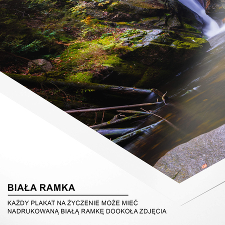 Zestaw Plakatów Górski Las