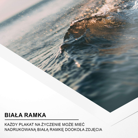 Zestaw Plakatów Summer Art