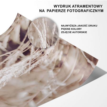 Plakat Trawa Pampasowa