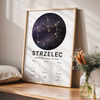 Plakat Znak Zodiaku Strzelec