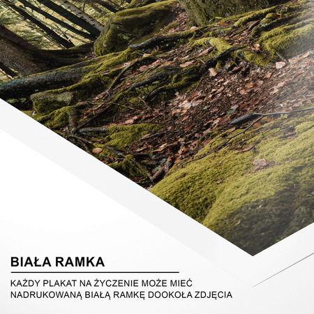 Zestaw Plakatów Most Alive