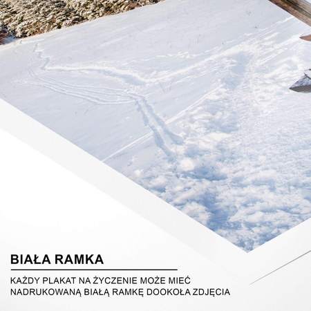 Plakat Na Zimowym Szlaku