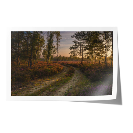 Plakat Jesienny Spacer