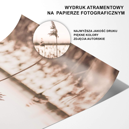 Zestaw Plakatów Nature Part I