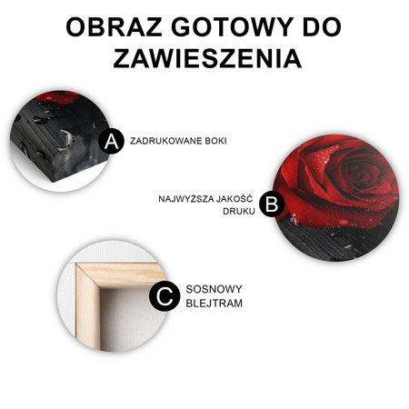 Obraz Na Płótnie Piękno I Tajemnica
