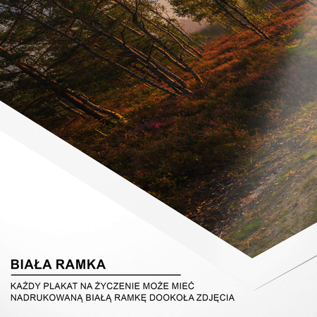 Plakat Jesienny Spacer