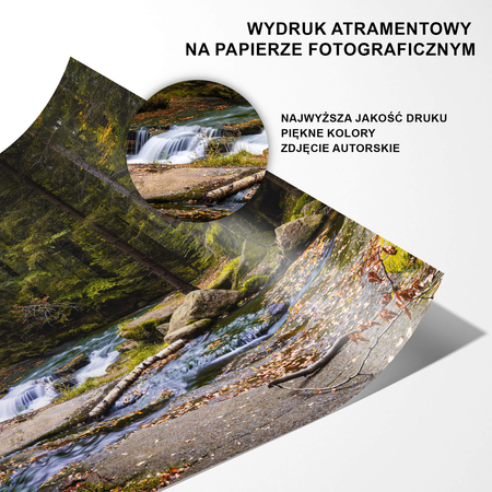 Zestaw Plakatów Górski Las