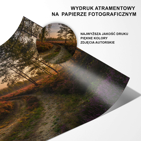 Zestaw Plakatów Poranek Na Wrzosowisku