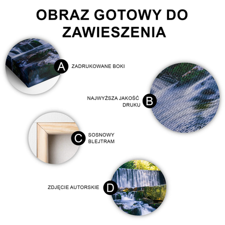 Obraz Dziki Wodospad vol. 2