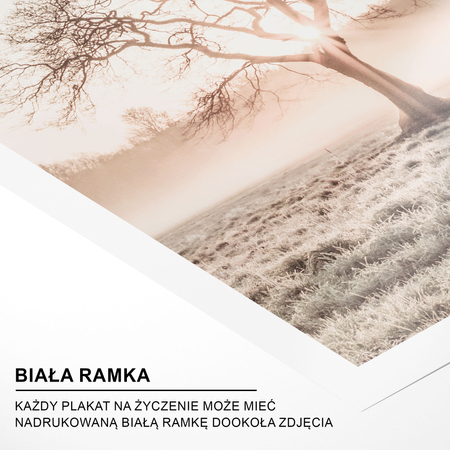 Plakat Drzewo