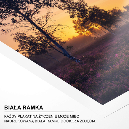 Plakat Kolory Jesieni