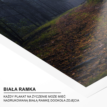 Plakat Leśna Ścieżka