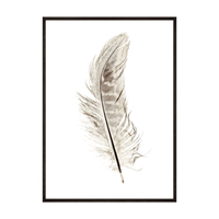 Plakat Brązowe Piórko