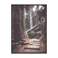 Plakat Leśna Ścieżka