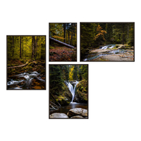 Zestaw Plakatów Górski Las